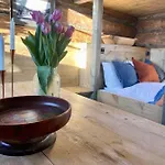 Sauefjoset - Idyllisk Gardstun Fra 1800-tallet Skjåk